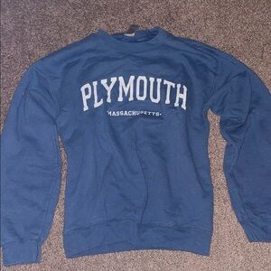 Gildan Men's Crewneck Sweater in Blue